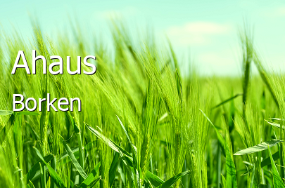 Ahaus Landkreis Borken Ahaus Kleine Mittelstadt