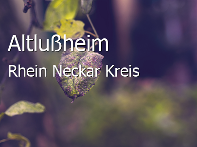 Altlußheim Rhein-Neckar-Kreis Altlußheim Große Landstadt
