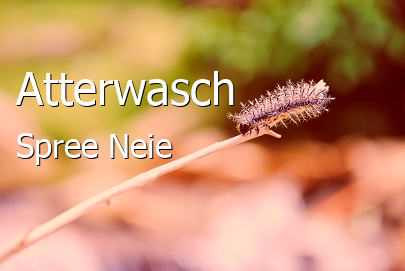 Atterwasch 