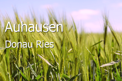 Auhausen Landkreis Donau-Ries Auhausen Großes Dorf