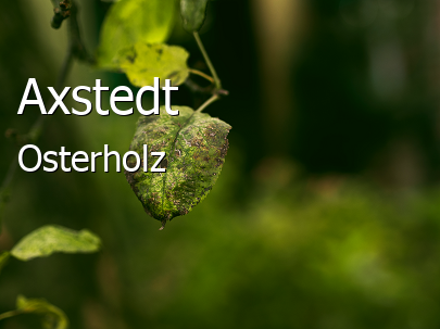 Axstedt Landkreis Osterholz Axstedt Großes Dorf