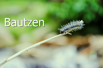 Landkreis Bautzen  Bautzen  Sachsen 