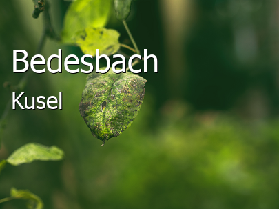 Bedesbach Landkreis Kusel Bedesbach Dorf
