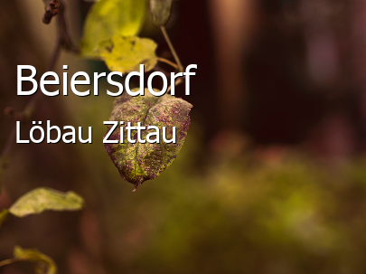 Beiersdorf Landkreis Löbau-Zittau Beiersdorf Großes Dorf