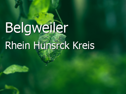 Belgweiler Kleines Dorf