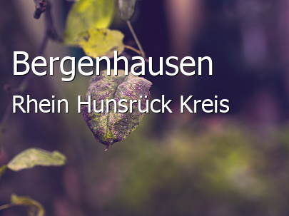 Bergenhausen Rhein-Hunsrück-Kreis Bergenhausen Kleines Dorf