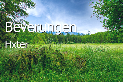 Beverungen Kleinstadt
