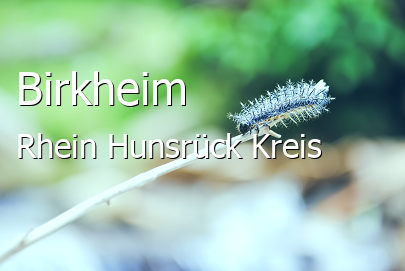 Birkheim Rhein-Hunsrück-Kreis Birkheim Kleines Dorf