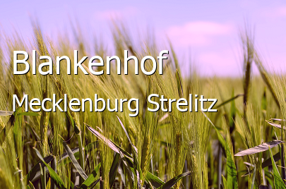 Blankenhof Landkreis Mecklenburg-Strelitz Blankenhof Dorf