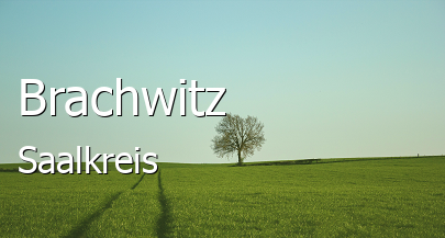 Brachwitz 