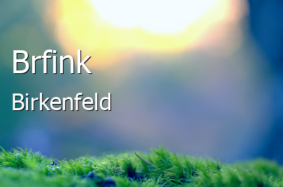 Brfink Kleines Dorf