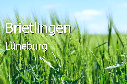 Brietlingen Landkreis Lüneburg Brietlingen Landstadt