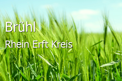 Brühl Rhein-Erft-Kreis Brühl Kleine Mittelstadt