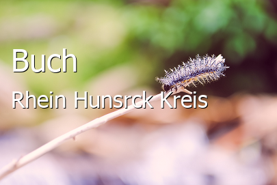 Buch Dorf