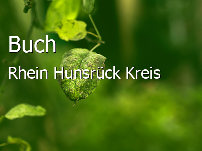 Buch Rhein-Hunsrück-Kreis Buch Dorf