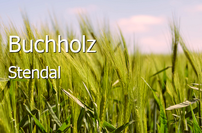 Buchholz Landkreis Stendal Buchholz Großes Dorf