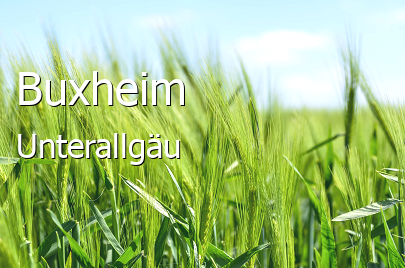 Buxheim Landkreis Unterallgäu Buxheim Landstadt