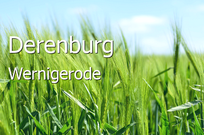 Derenburg 