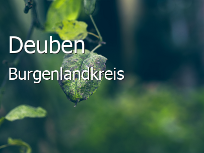 Deuben 
