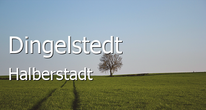 Dingelstedt 