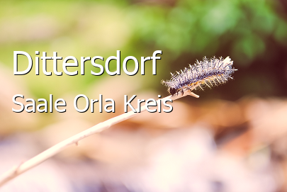 Dittersdorf Saale-Orla-Kreis Dittersdorf Kleines Dorf