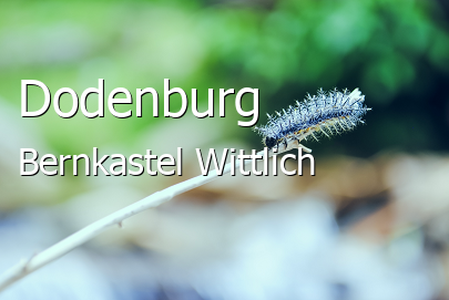 Dodenburg Landkreis Bernkastel-Wittlich Dodenburg Kleines Dorf