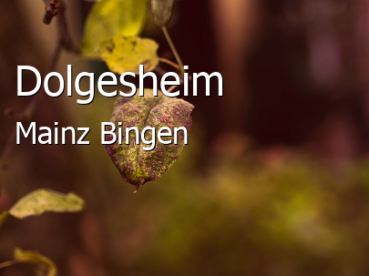 Dolgesheim Dorf