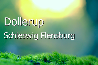 Dollerup Landkreis Schleswig-Flensburg Dollerup Großes Dorf