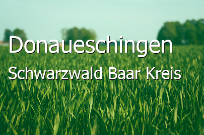 Donaueschingen Schwarzwald-Baar-Kreis Donaueschingen Kleine Mittelstadt
