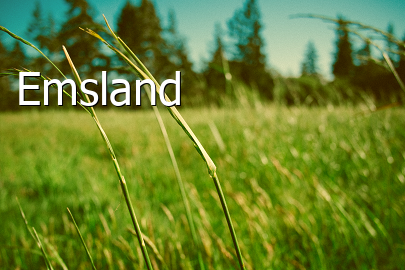 Landkreis Emsland  Lingen  Niedersachsen 