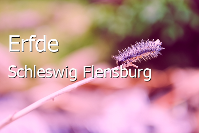 Erfde Landkreis Schleswig-Flensburg Erfde Großes Dorf