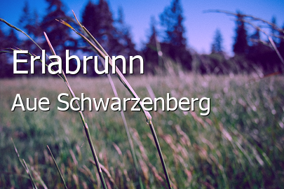 Erlabrunn Landkreis Aue-Schwarzenberg Erlabrunn Großes Dorf