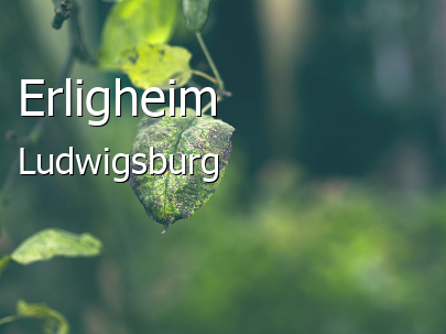 Erligheim Landkreis Ludwigsburg Erligheim Landstadt