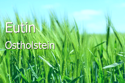 Eutin Landkreis Ostholstein Eutin Kleinstadt