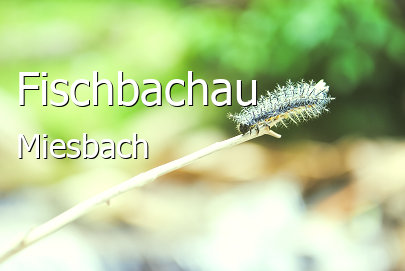 Fischbachau Landkreis Miesbach Fischbachau Große Landstadt