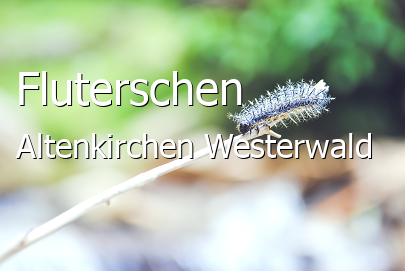 Fluterschen Landkreis Altenkirchen-Westerwald Fluterschen Dorf