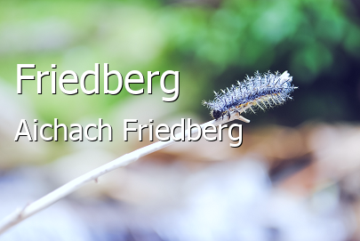 Friedberg Landkreis Aichach-Friedberg Friedberg Kleine Mittelstadt