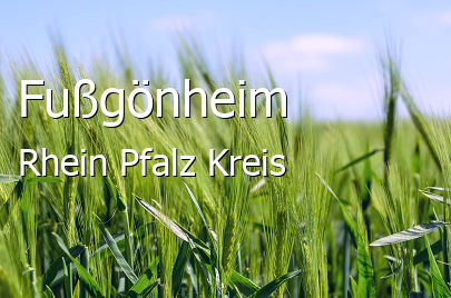 Fußgönheim Rhein-Pfalz-Kreis Fußgönheim Landstadt