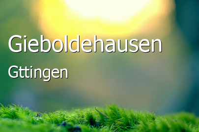 Gieboldehausen Landstadt