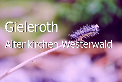 Gieleroth Landkreis Altenkirchen-Westerwald Gieleroth Dorf
