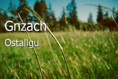 Gnzach Groes Dorf