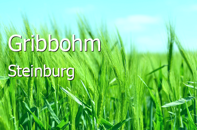 Gribbohm Landkreis Steinburg Gribbohm Kleines Dorf