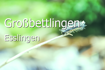 Großbettlingen Landkreis Esslingen Großbettlingen Landstadt