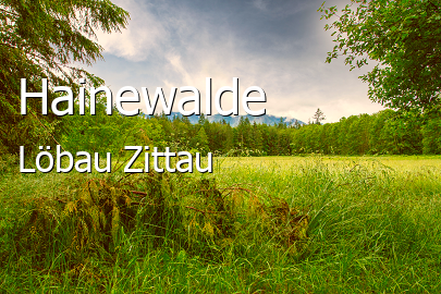 Hainewalde Landkreis Löbau-Zittau Hainewalde Großes Dorf