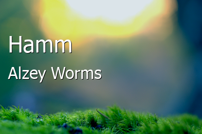 Hamm Landkreis Alzey-Worms Hamm Kleine Großstadt