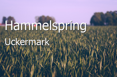 Hammelspring 