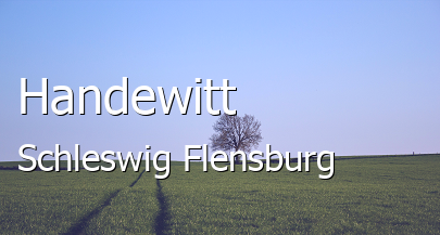 Handewitt Landkreis Schleswig-Flensburg Handewitt Kleinstadt