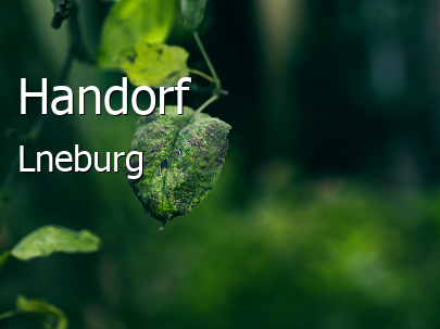 Handorf Groes Dorf