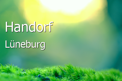 Handorf Landkreis Lüneburg Handorf Großes Dorf