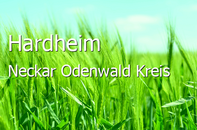 Hardheim Neckar-Odenwald-Kreis Hardheim Große Landstadt